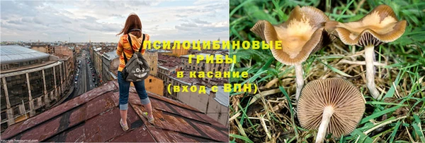 МДПВ Киренск