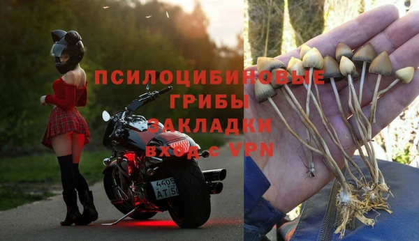 эйфоретик Карпинск