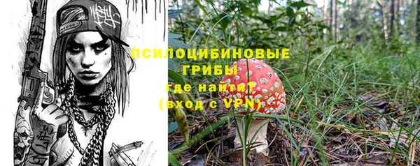 spice Кодинск
